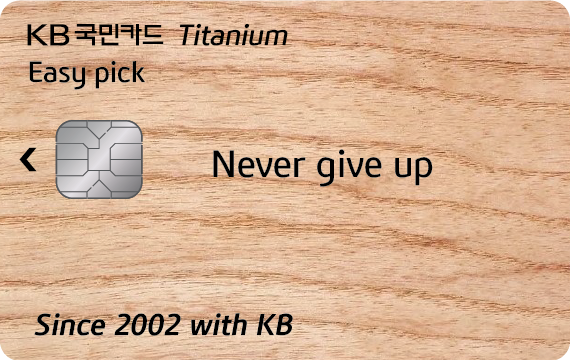 Easy pick 티타늄카드