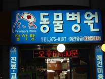 사진1
