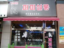 사진1