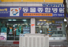 사진1