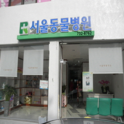 사진1