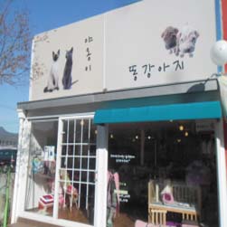 사진1