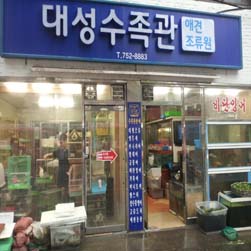 사진1
