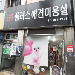 사진3
