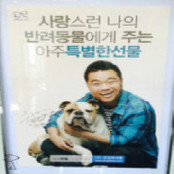 사진2