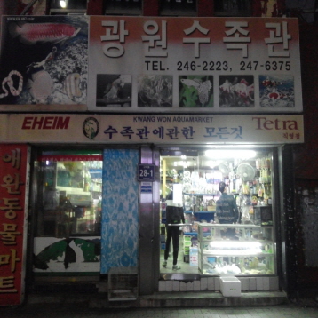 사진1