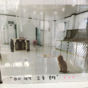 사진4