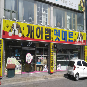 사진1