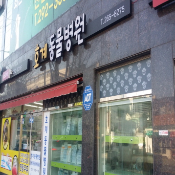사진4