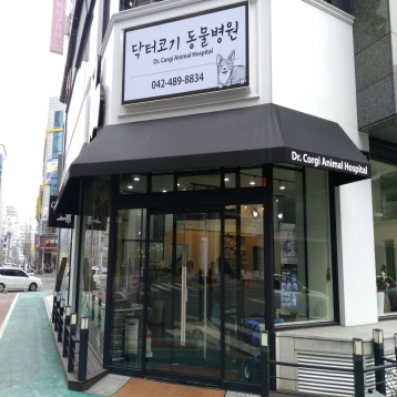 사진2