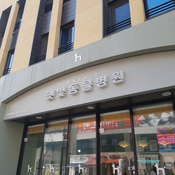 사진3