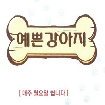 사진1