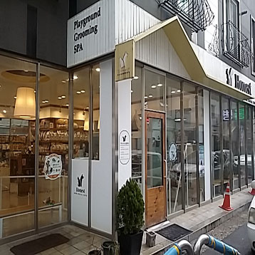 사진1