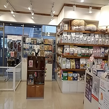 사진4