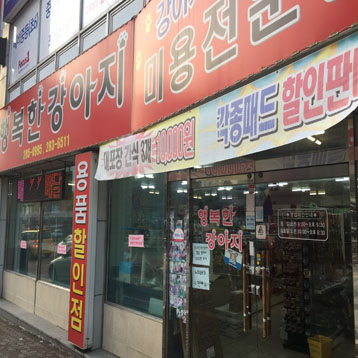 사진1