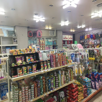 사진2