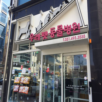 사진1