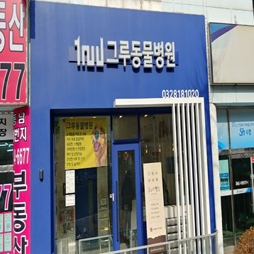 사진1