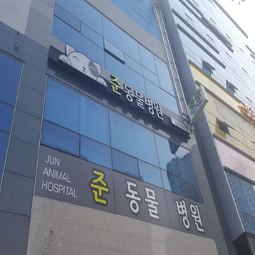 사진1