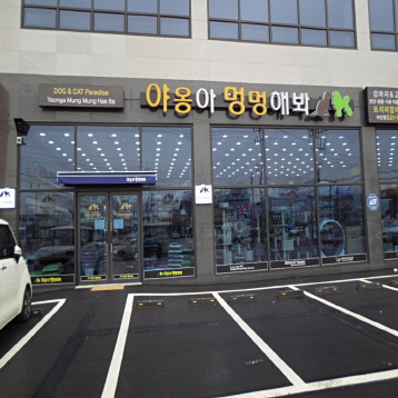 사진1