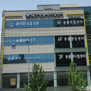 사진1