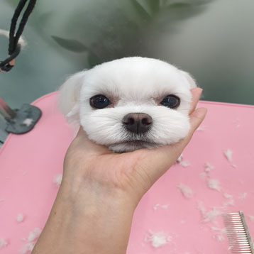 사진4