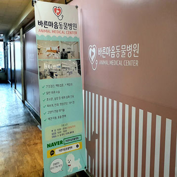 사진1