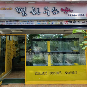 사진2
