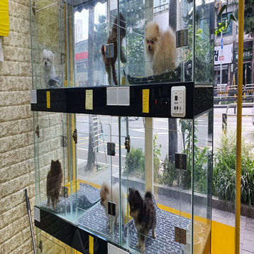 사진4