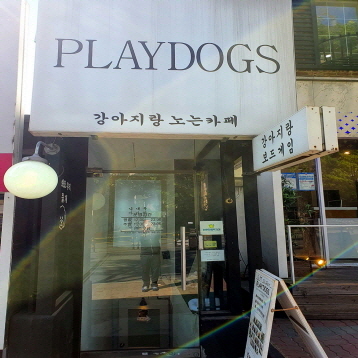 사진1