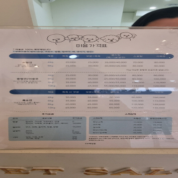 사진4