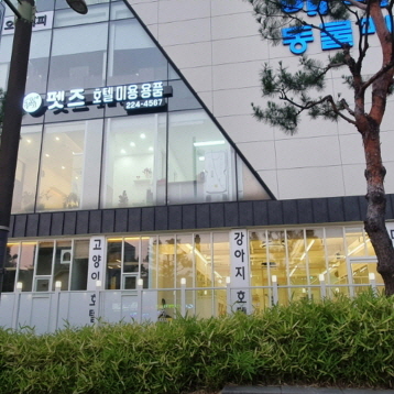 사진1