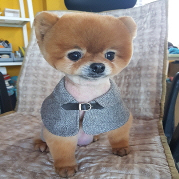 사진3