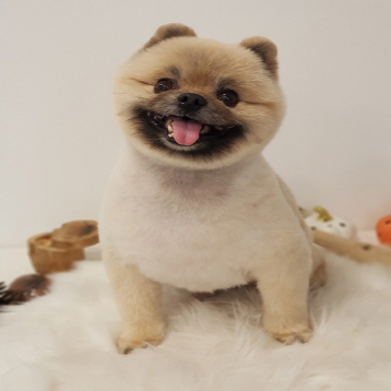 사진4
