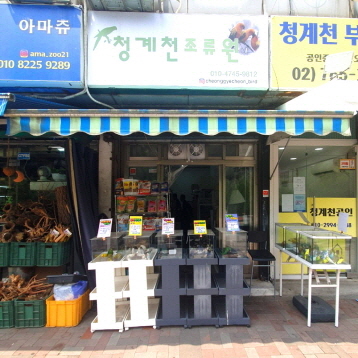 사진1