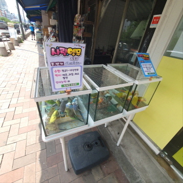 사진4