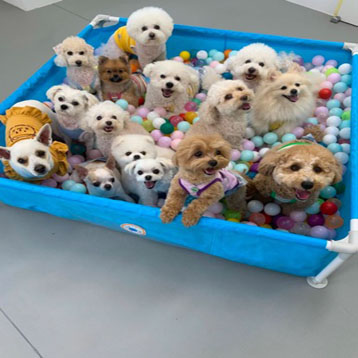 사진3