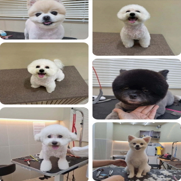 사진2