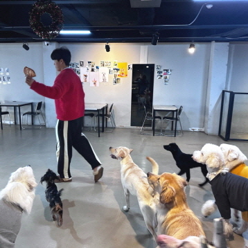 사진3
