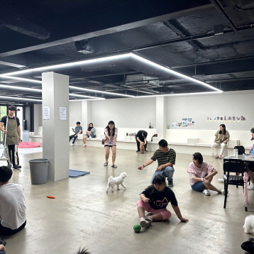 사진4