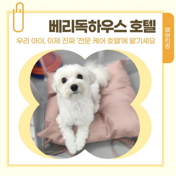 사진1