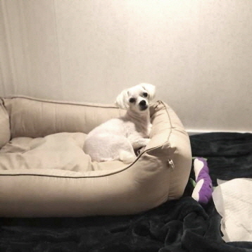 사진4