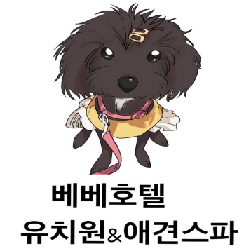사진1