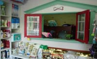 사진4